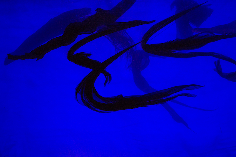 Swirls of fabrics float in a midnight blue glowing aquarium.